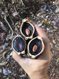 Carao bolsa de 300 Gramos