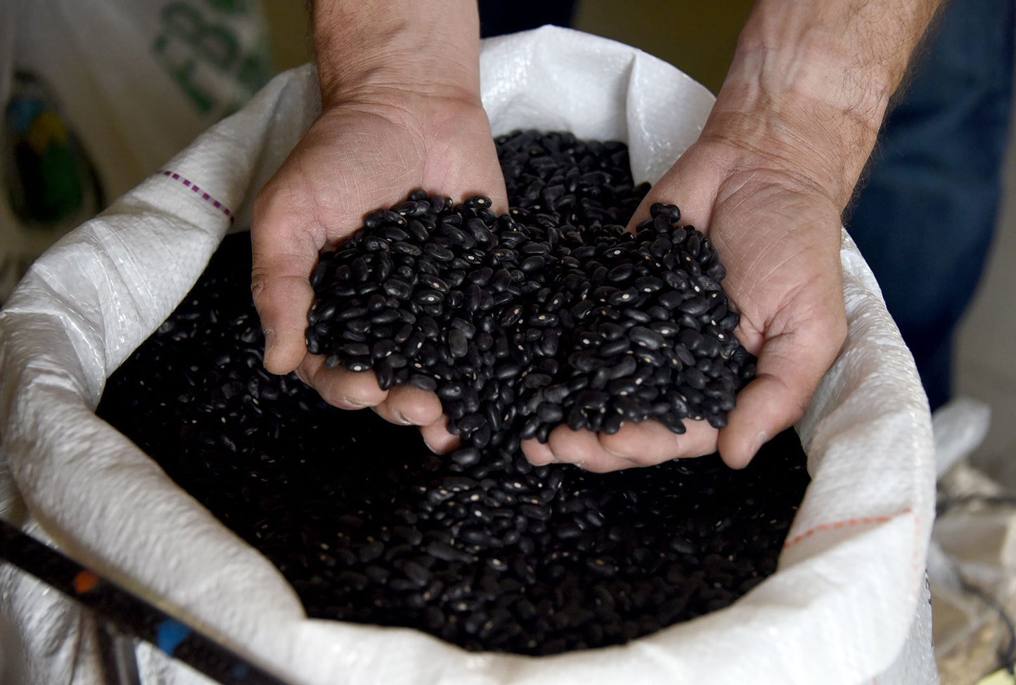 Frijol Negro - 2 libras