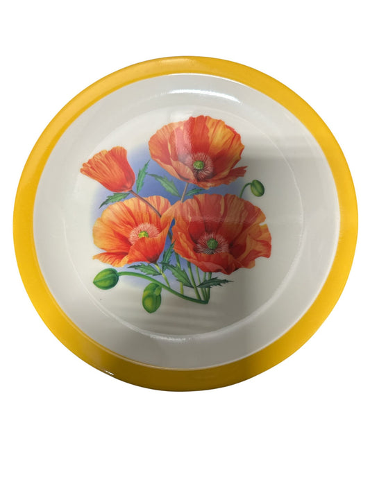 Platos de Plastico con Diseno opcion 3