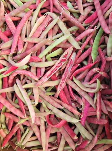Frijol nuevo en Vaina 1 lb