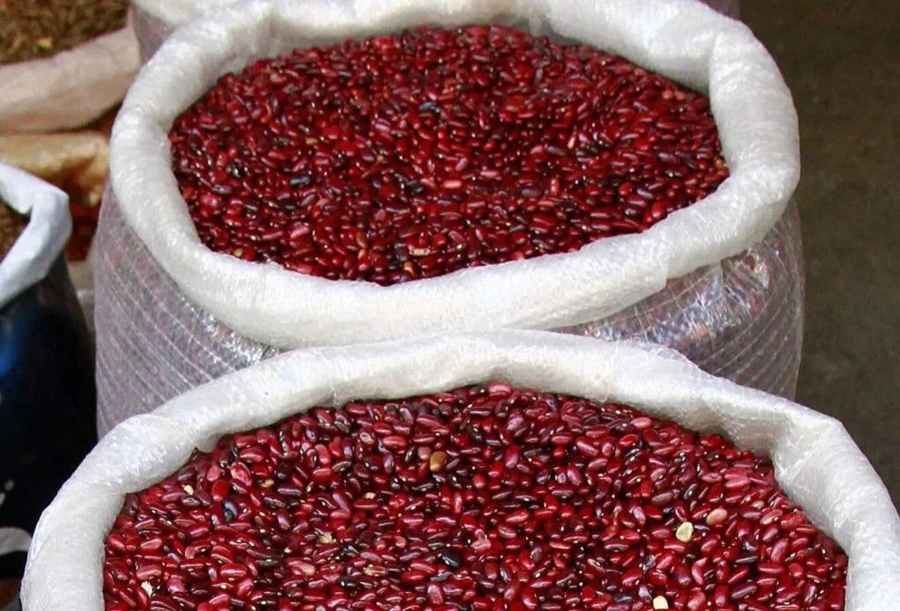 Saco de Frijol Rojo de Seda